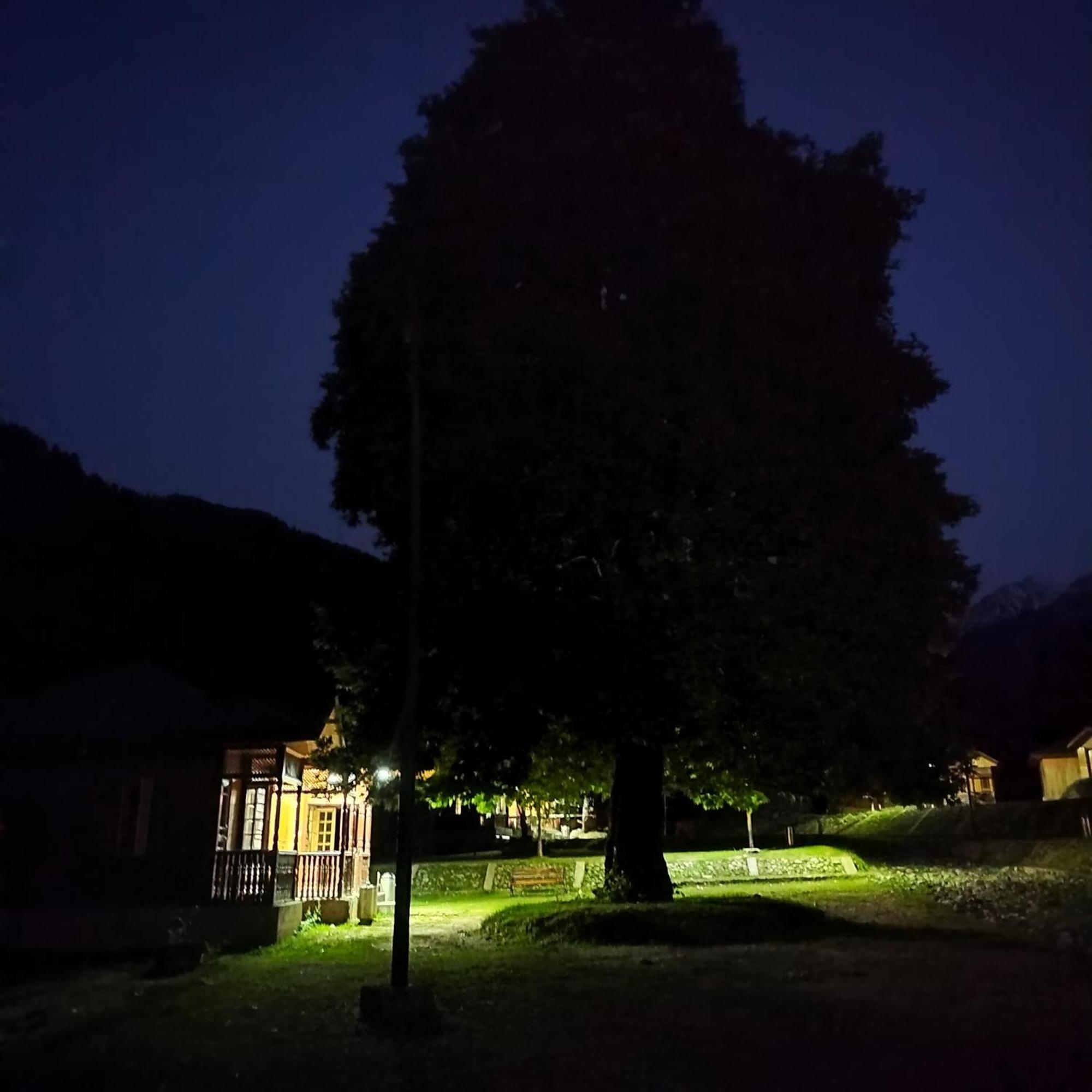 Grand View Resorts Chatpal Anantnag ภายนอก รูปภาพ